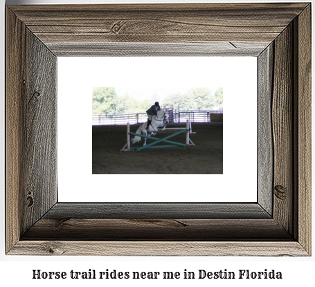 horse trail rides near me in Destin, Florida